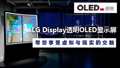 OLED@ʾ̓McFĽ