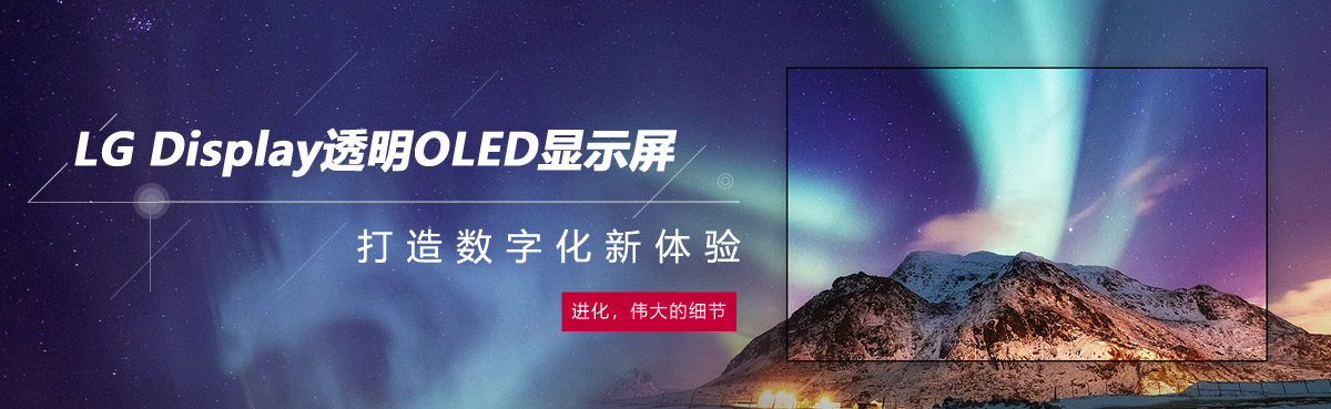 LG Display͸OLED@ʾ씵ֻw